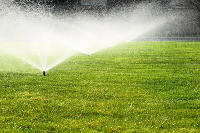 Les meilleures options de services d'irrigation