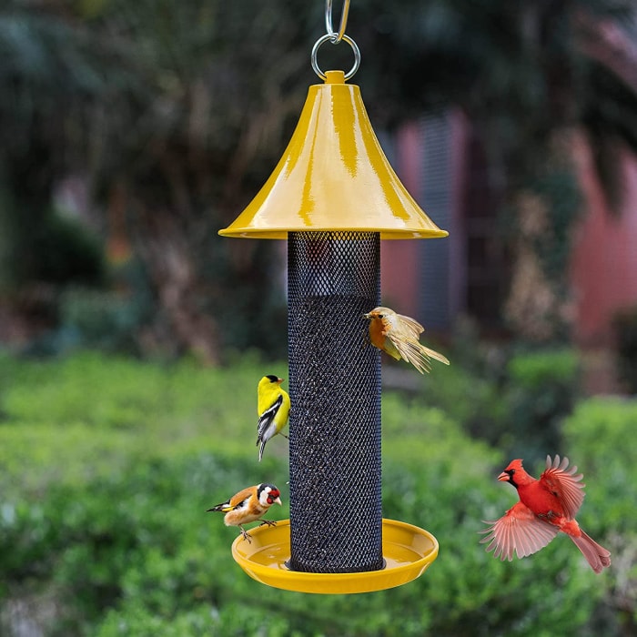 types de mangeoires pour oiseaux - mangeoire à chardon