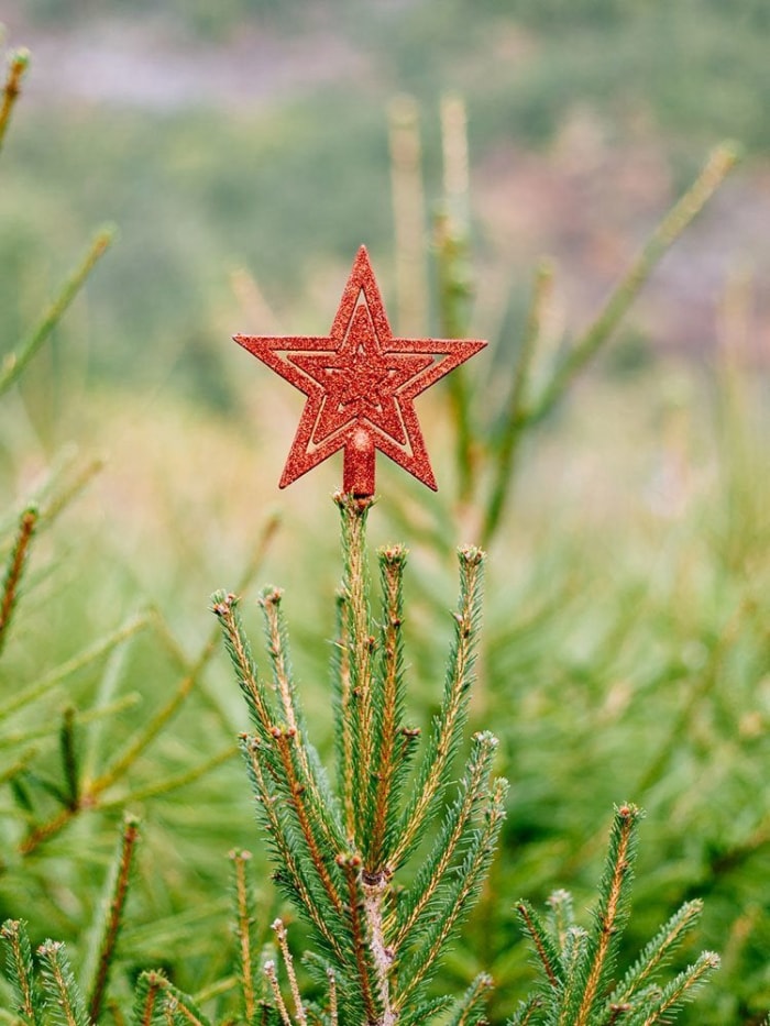 20 histoires surprenantes derrière les décorations de Noël populaires