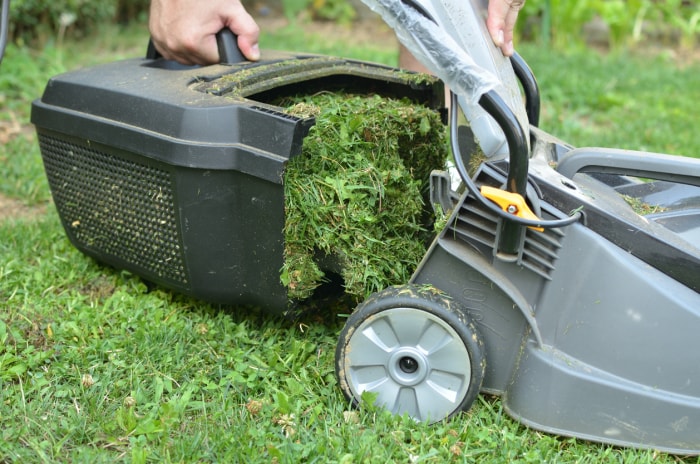 Une personne est en train de vider une tondeuse à gazon de l'herbe coupée.