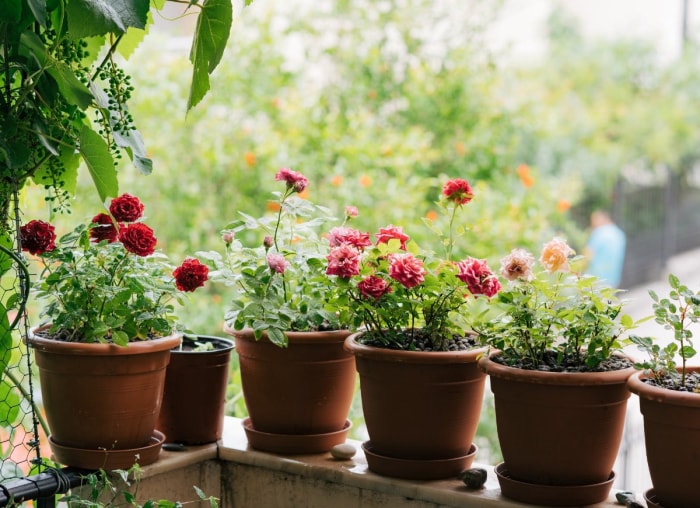 10 idées géniales pour un jardin sur balcon