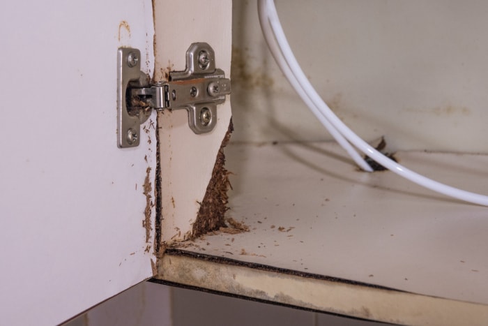 Un meuble de cuisine situé sous un évier est pourri à cause d'une fuite d'eau.