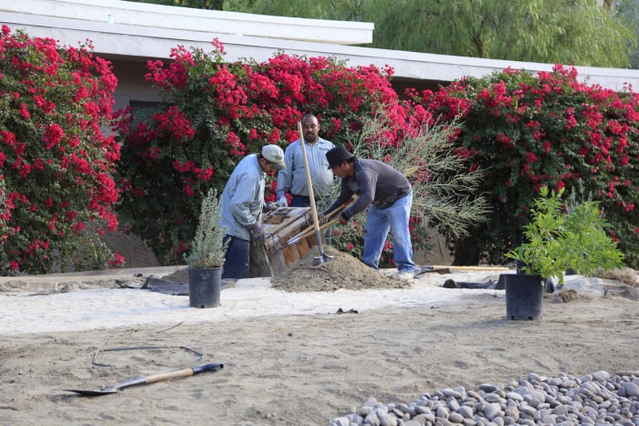 Jardiniers installant une cour en xéropaysage