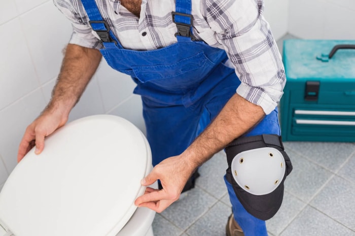 Installation de toilettes : quand engager un professionnel