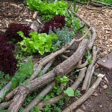 À la limite : 16 bordures de jardin à réaliser