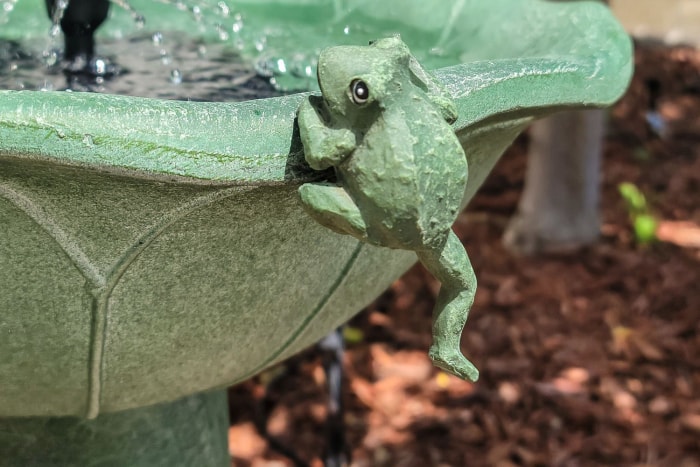 Gros plan d'une figurine de grenouille sur un bain d'oiseaux solaire