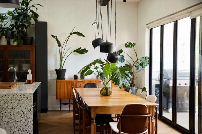 Des chaises et une table de salle à manger avec une plante posée à côté des portes-fenêtres dans une maison moderne à plan ouvert avec beaucoup de plantes en pot.