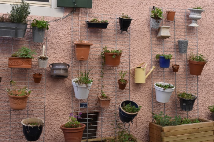 mur en stuc rose avec des plantes en pot uniques montées dans des pots éclectiques uniques