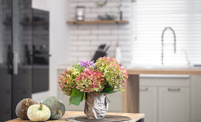 iStock-1288775539 plante d'intérieur hortensia sur table dans la cuisine