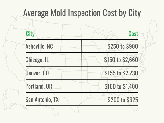 Graphique en noir et vert montrant le coût de l'inspection des moisissures dans différentes villes des États-Unis.