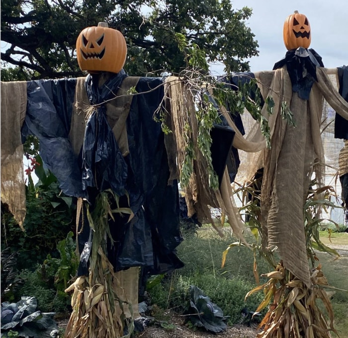 décorations de jardin d'Halloween à faire soi-même