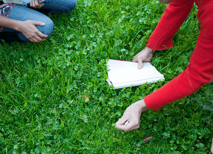 Des gens à la recherche de plantes comestibles dans le jardin d'une maison.