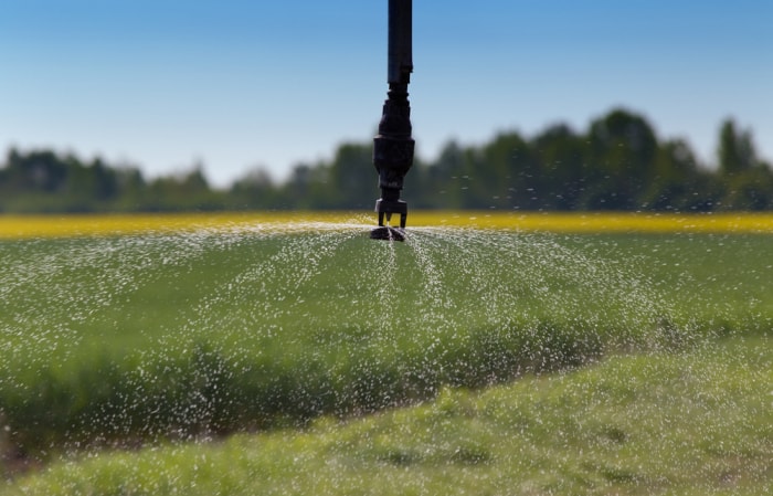 La meilleure option de système d'irrigation goutte à goutte pulvérisant de l'eau sur un champ