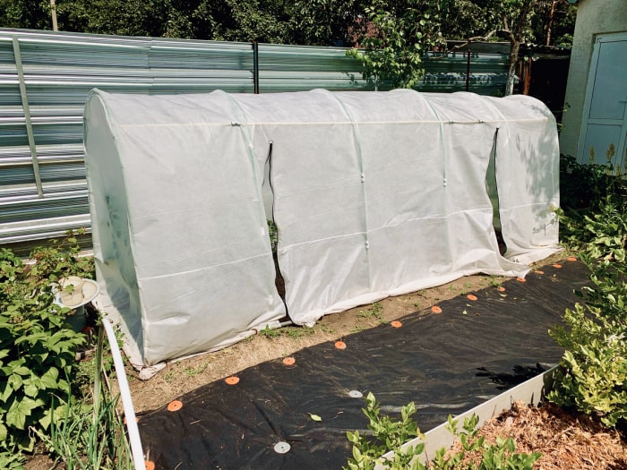 Rangée de jardin avec cerceau et dispositif de couverture pour éviter les dommages causés par les insectes.