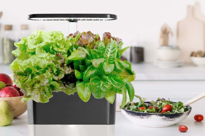 La meilleure option de produit pour pelouse et jardin AeroGarden Harvest Indoor Garden