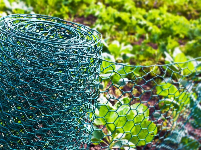 Gros plan sur le jardin potager et la clôture en fil de fer