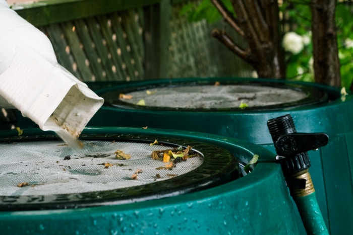 récupération des eaux de pluie