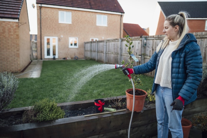 iStock-1295255281 14 façons astucieuses de protéger votre jardin des intempéries femme arrosant des plantes dans un manteau d'hiver par temps froid