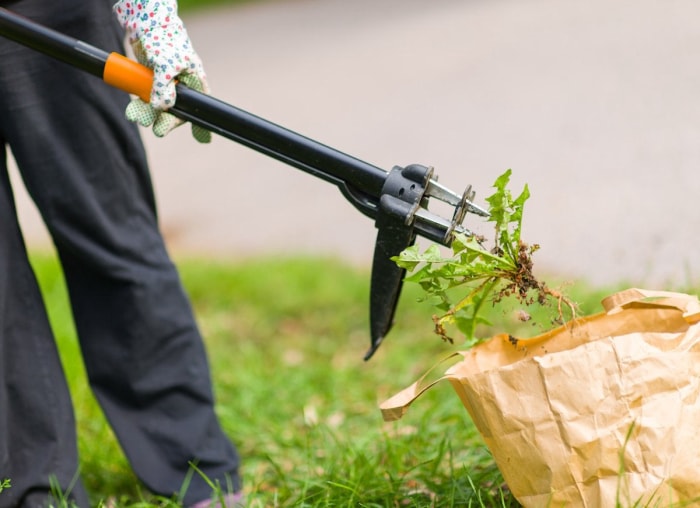 15 choses à faire dans la cour avant les premières gelées