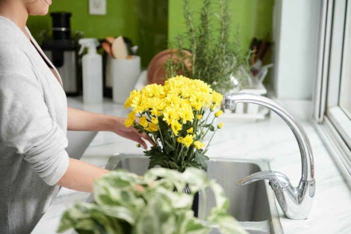 iStock-1434207875 Gardez les fleurs coupées fraîches plus longtemps en changeant l'eau du vase.jpg