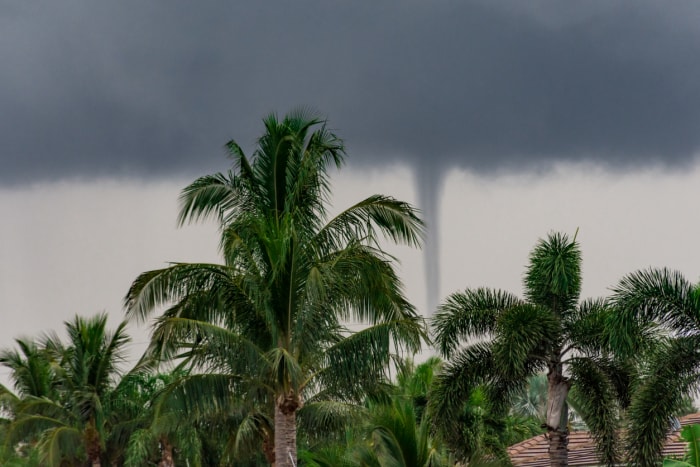 Une tornade touche le sol en Floride avec des palmiers au premier plan