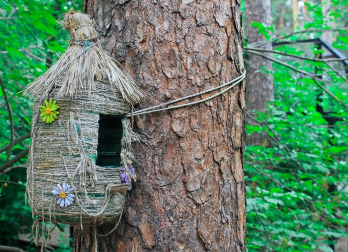 13 idées de mangeoires à écureuils à faire soi-même pour votre jardin