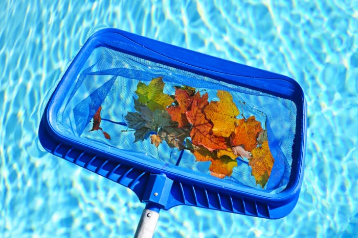 Gros plan d'un écumeur de piscine nettoyant les feuilles d'automne dans une piscine.