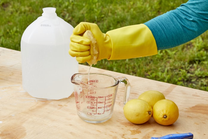 Une femme presse le jus des citrons dans une tasse à mesurer en verre avec d'autres citrons et un pichet en plastique à proximité.