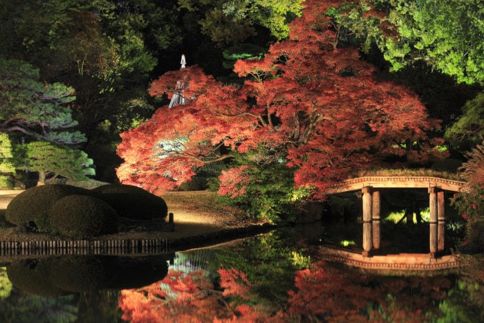 Jardin japonais la nuit illuminé par la lumière