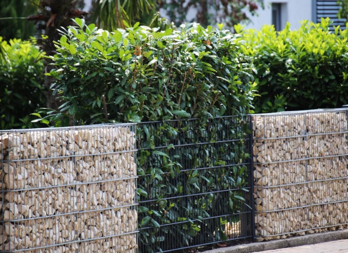 mur de gabions