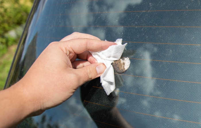 Une personne enlève des fientes d'oiseaux de la fenêtre d'une voiture.