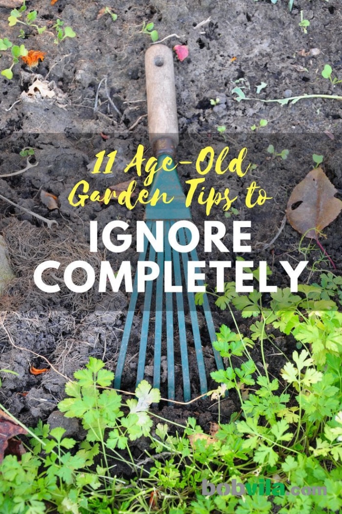 11 conseils de jardinage séculaires à ignorer complètement