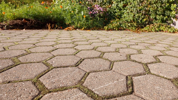 chemin de jardin en pierre avec de la mousse poussant entre les pierres