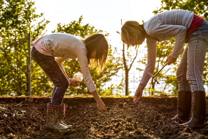 Les 10 projets incontournables de Bob Vila pour le mois d'avril Mère et fille semant des graines de pois verts dans le potager de printemps