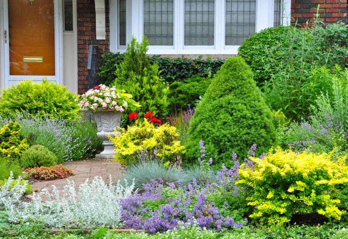 gros plan sur un beau jardin naturel avec différentes fleurs colorées devant la maison