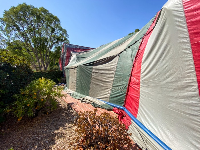 maison de tente pour termites et fumigation