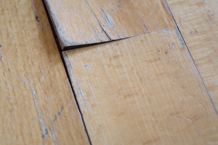 Deux planches de parquet stratifié imitation bois clair se déforment sur le bord en raison des dégâts causés par l'eau.