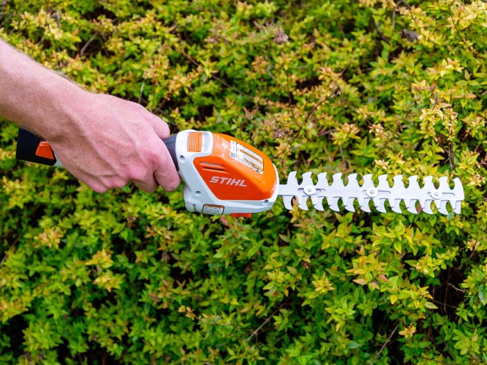 Le sécateur de jardin sans fil Stihl avec taille-haie attaché à côté d'une haie