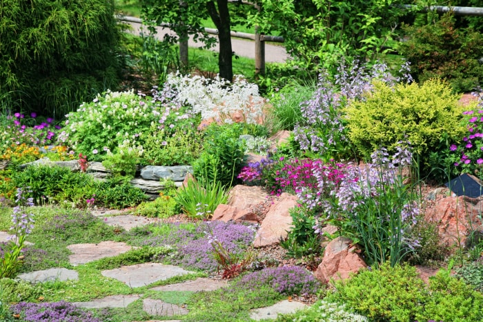 Jardin sous bois