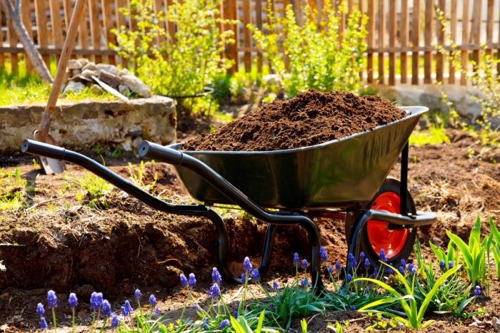 comment labourer un jardin sans motoculteur - brouette avec compost à côté du jardin