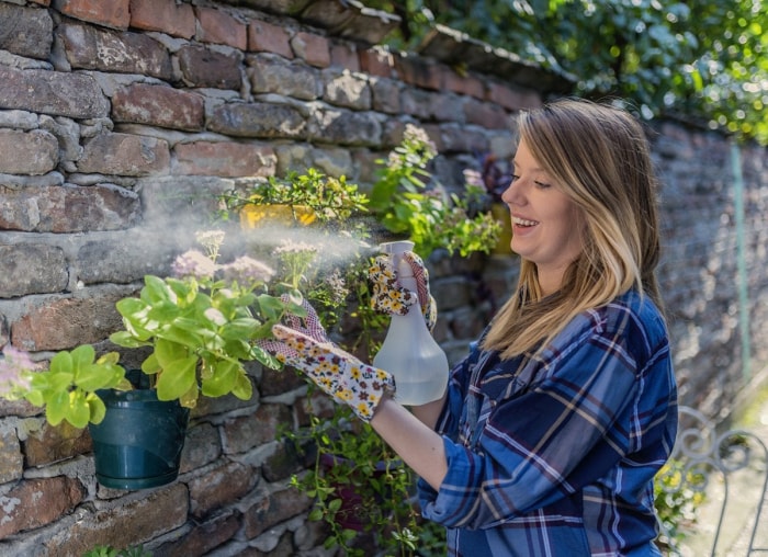 20 conseils pour éloigner toutes les bestioles de votre cour et de votre jardin