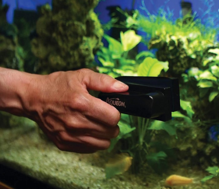 Une main utilise les aimants nettoyants pour algues Aqueon-Aquarium pour nettoyer un aquarium.