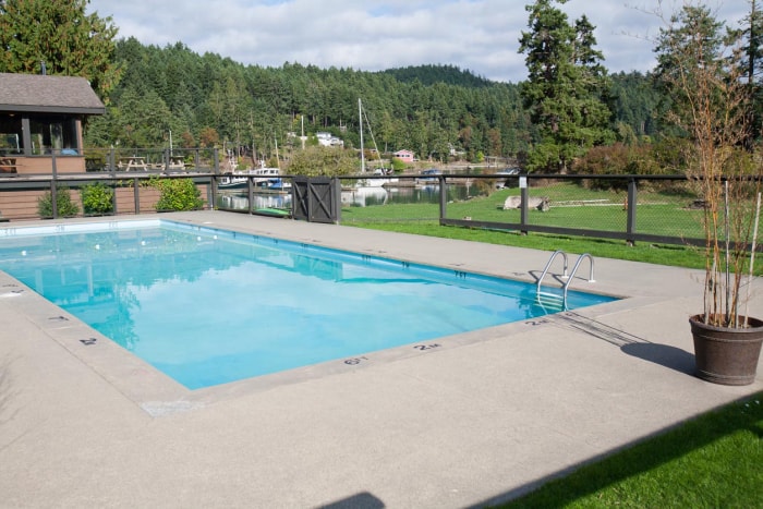 Coût de la piscine en gunite