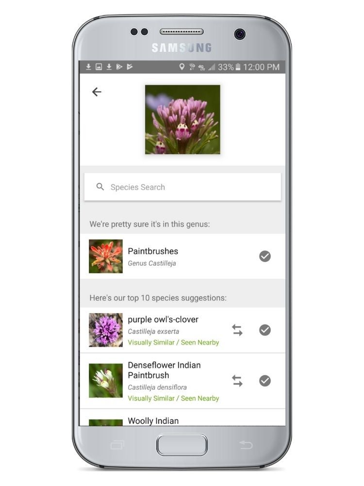 Les meilleures applications de jardinage et d'identification des plantes pour votre smartphone