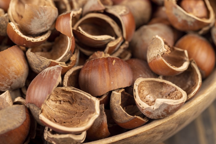 Vue rapprochée de coquilles de noisettes craquelées dans un bol en bois.