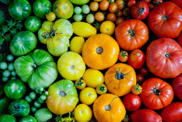 Arrière-plan de tomates anciennes fraîches, produits biologiques sur un marché de producteurs. Arc-en-ciel de tomates.