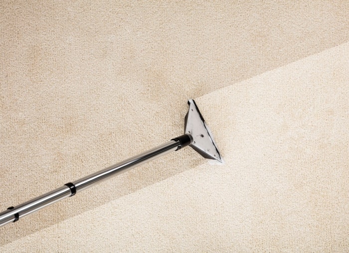 8 secrets que votre tapis pourrait vous cacher