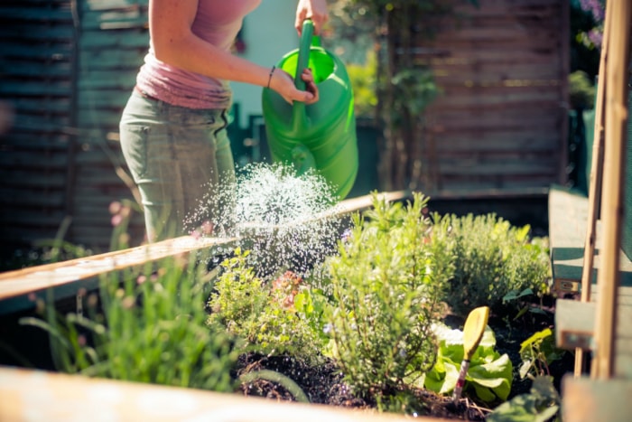 cultiver des herbes en extérieur