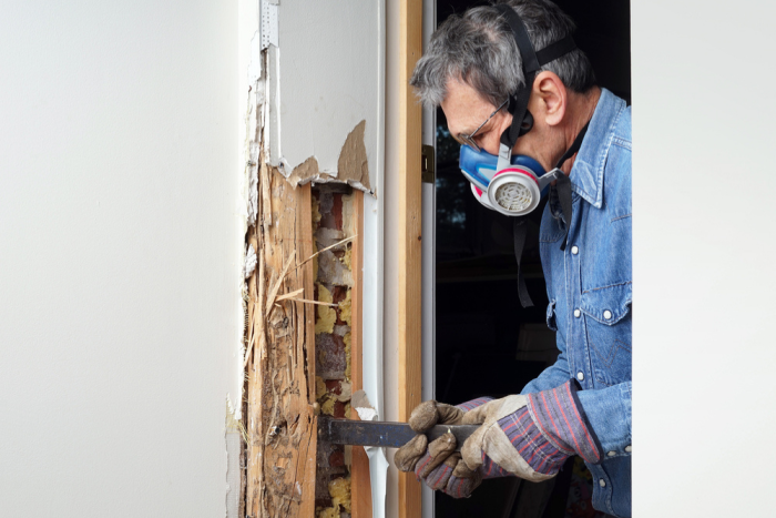 L'assurance habitation couvre-t-elle les dommages causés par les termites ?