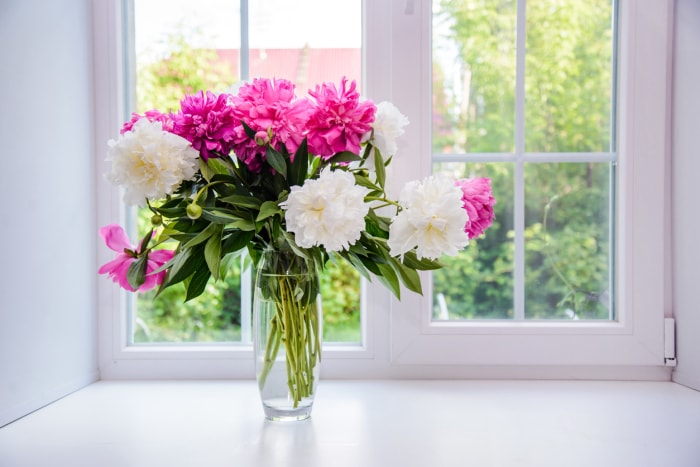 bouquet de fleurs rose vif dans un vase en verre devant la fenêtre